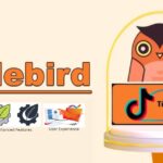 Urlebird